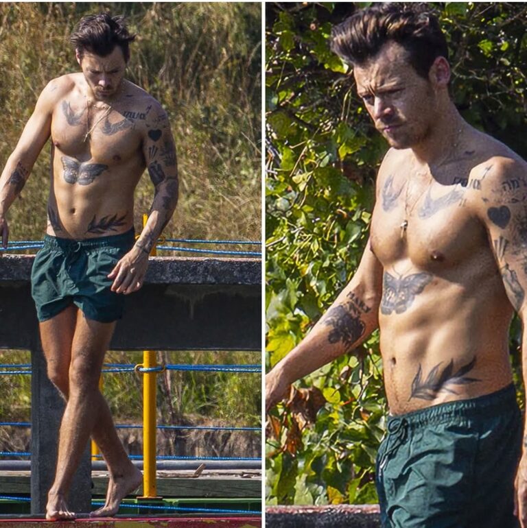 Harry Styles Turns Heads with Shirtless Swim in London Duck Pond