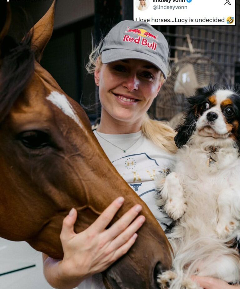 I Love Horses… But Lucy Gave Them THE SIDE-EYE : The Photo That Still Breaks Fans’ Hearts